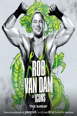 WWE Icons: Rob Van Dam's poster