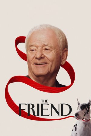 The Friend's poster