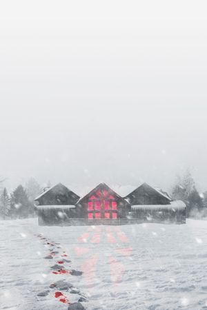 Snow Falls's poster