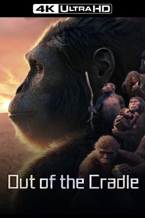 Out of the Cradle's poster