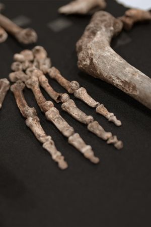 Unknown: Cave of Bones's poster