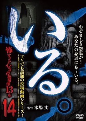 「Iru.」~ Kowasugiru Tōkō Eizō 13-hon ~ Vol.14's poster