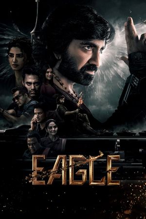 Eagle's poster