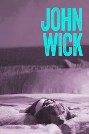 John Wick's poster