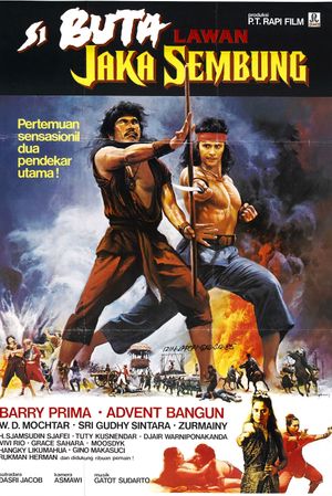 The Warrior and the Blind Swordsman's poster