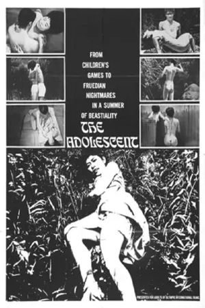 The Adolescent's poster