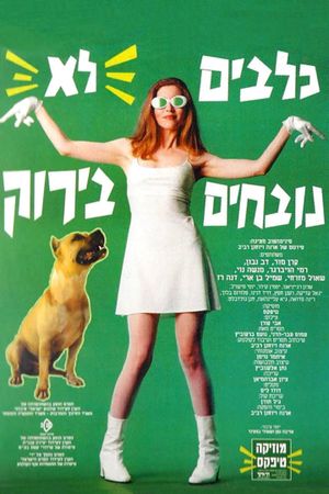 Dogs Are Color Blind's poster
