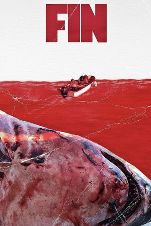 Fin's poster