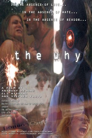 The Why's poster