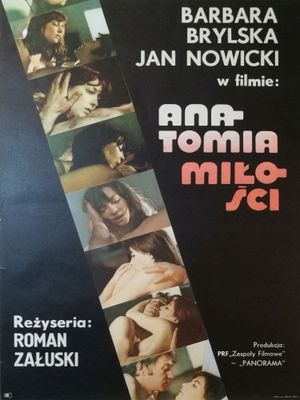The Anatomy of Love's poster