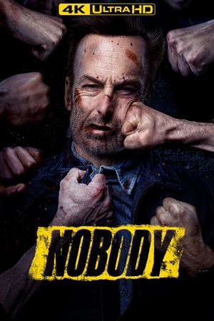 Nobody's poster