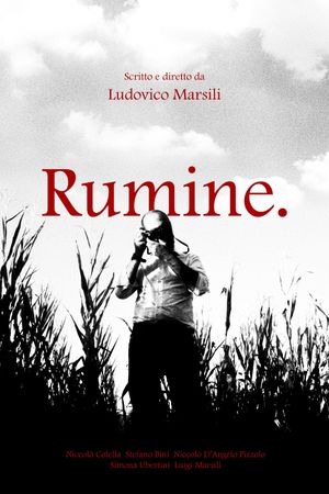 Rumine.'s poster
