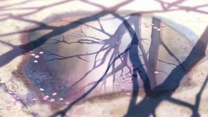 5 Centimeters per Second's poster