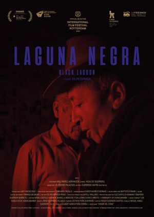 Laguna negra's poster