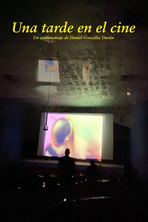 An afternoon at the movies's poster