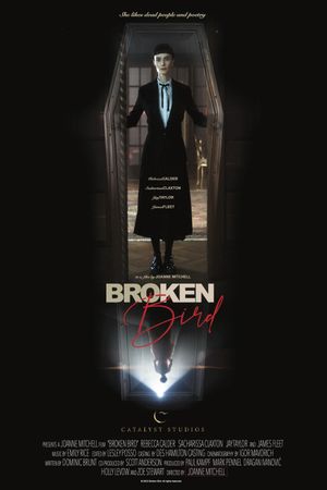 Broken Bird's poster