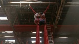 The Gymnast's poster