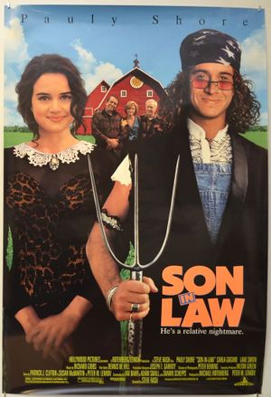 Son in Law's poster