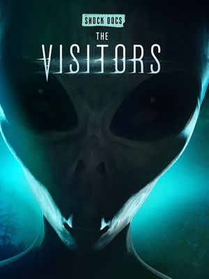 The Visitors's poster