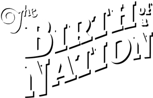 The Birth of a Nation's poster