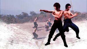 Shaolin Martial Arts's poster