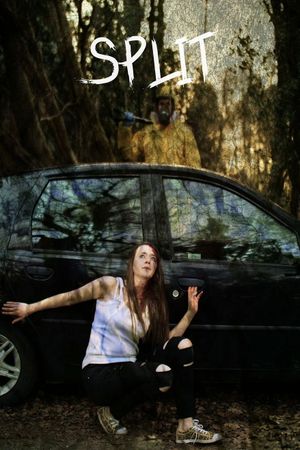 Split's poster image