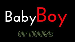 Baby Boy of House's poster