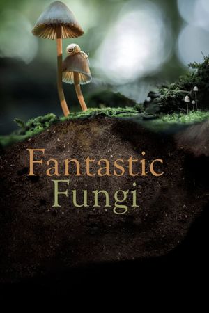 Fantastic Fungi's poster