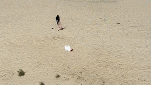European Man...American Beach's poster