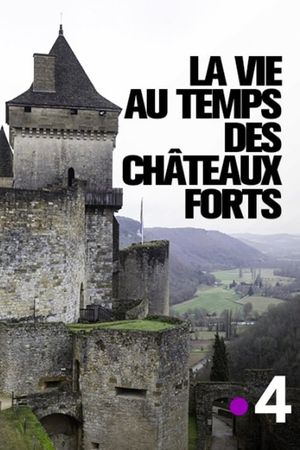 La vie au temps des châteaux forts's poster