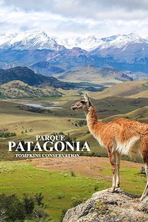 Parque Patagonia's poster