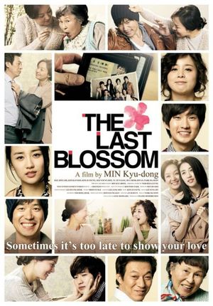 The Last Blossom's poster
