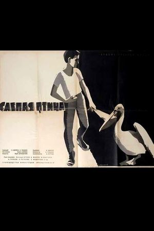 The Blind Bird's poster