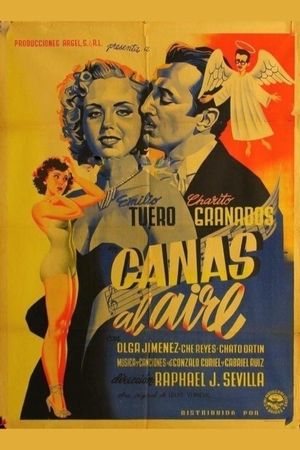 Canas al aire's poster