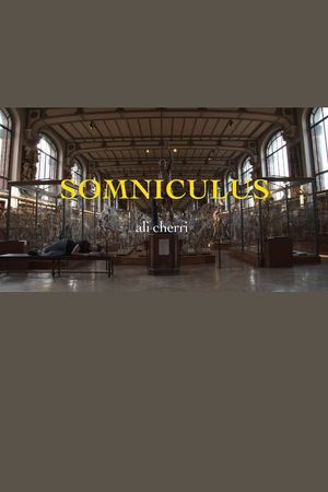 Somniculus's poster