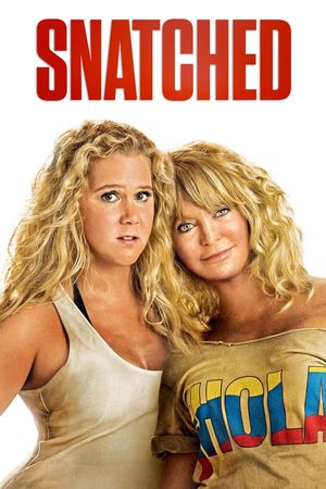 Snatched's poster