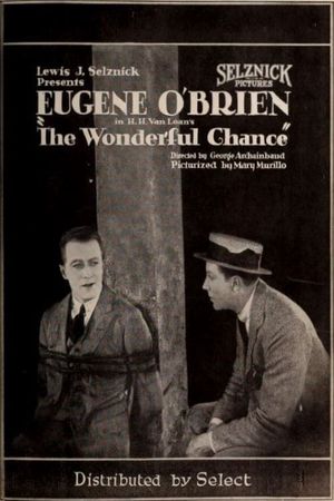 The Wonderful Chance's poster