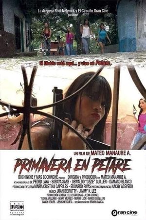 Spring in Petare's poster