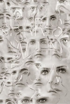 Paris Window's poster
