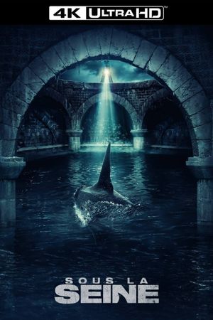 Under Paris's poster