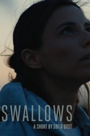 Swallows's poster