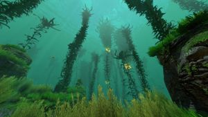 Kelp, une forêt sous la mer's poster