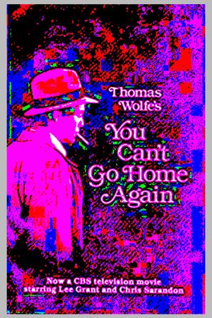 You Can't Go Home Again's poster