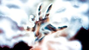 The Fog's poster