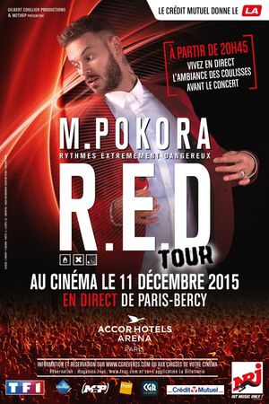 Matt Pokora -  Red Tour's poster