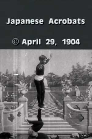 Japanese Acrobats's poster