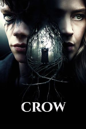 Crow's poster
