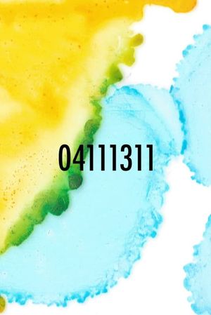 04111311's poster image