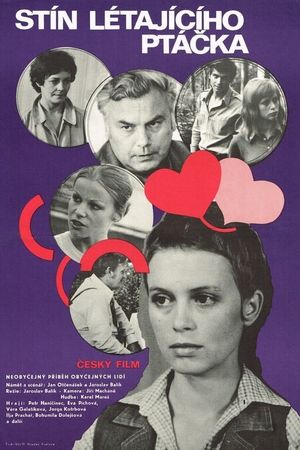 Stín létajícího ptácka's poster