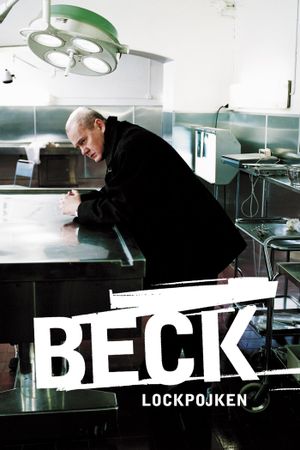 Beck 01 - The Decoy Boy's poster image
